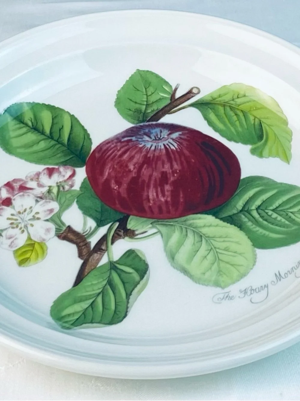 Portmeirion Dinner Plate “The Hoary Morning Apple” 10- 1/2”